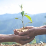 Día de la tierra: recomendaciones para cuidar del medio ambiente