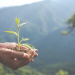 MINSAIT recibe el Sello Verde de verdad gracias a su compromiso ambiental en 6 países de la Región Andina y el Cono Sur