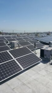 Transformación energética en Colombia: la visión empresarial que está redefiniendo el futuro sostenible