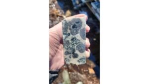 El descubrimiento de minerales de Juno se amplía para incluir metales magnéticos de tierras raras pesadas