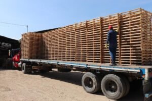 Industria logística recupera hasta 45% de estibas gracias a formación en economía circular