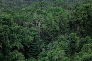 Avanza proyecto de colector y planta de tratamiento de aguas residuales en Génova, Quindío