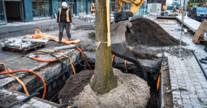 La apuesta por la innovación para hacer espacio a los árboles en las ciudades sin afectar la infraestructura